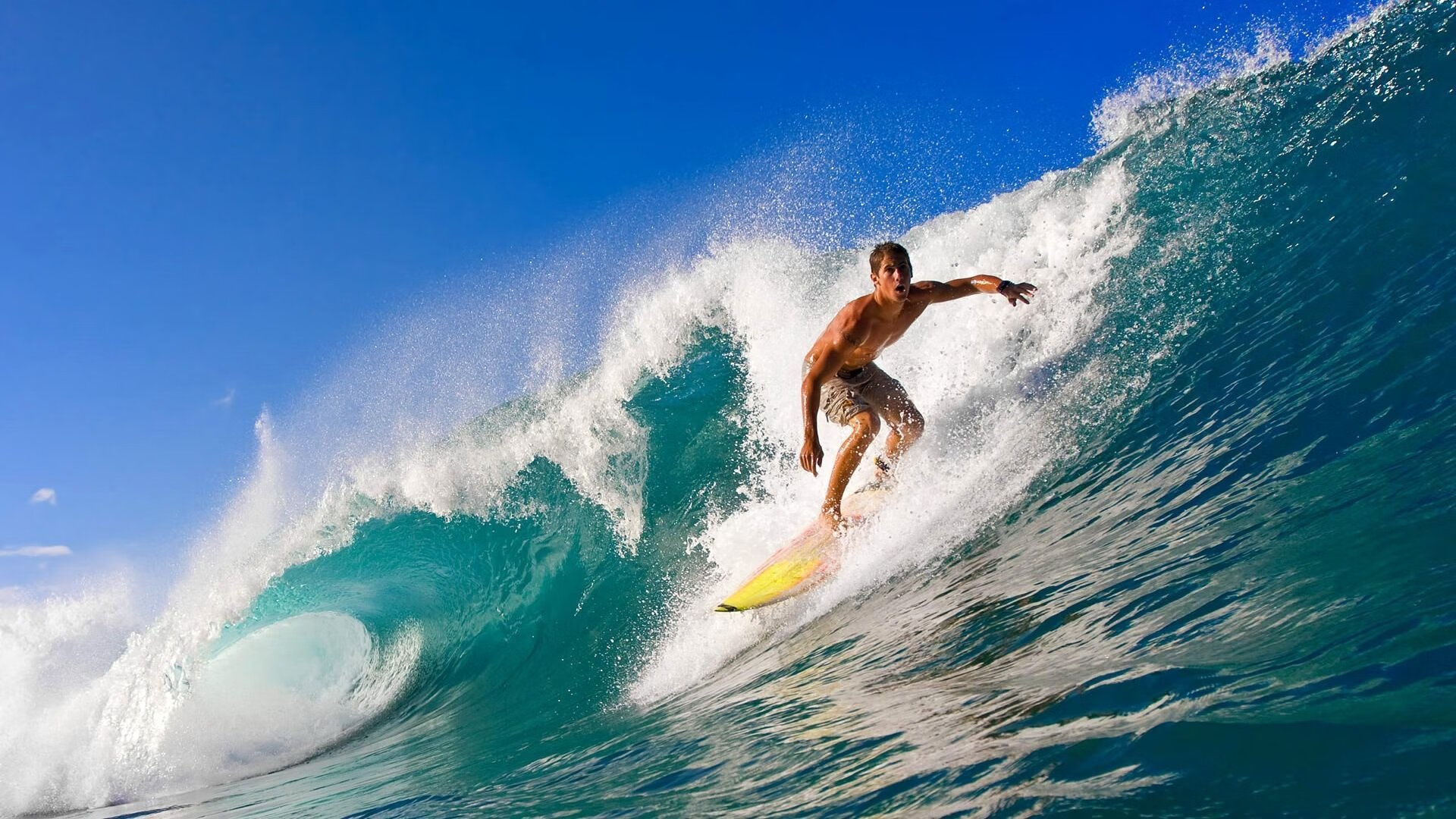 “医”路拼搏“乒”出精彩——我院在市直卫健系统职工乒乓球赛中喜获佳绩